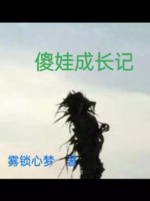 傻娃蜕变记傻娃蜕变记