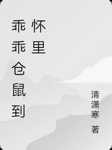 乖乖仓鼠到怀里乖乖仓鼠到怀里