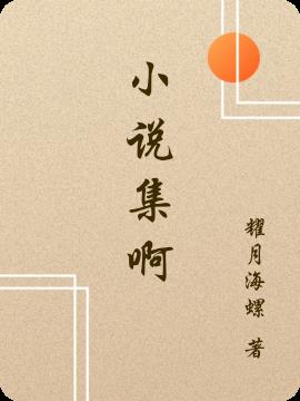 小说集啊小说集啊